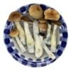 blue meanies magic mushrooms