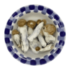 gold member magic mushrooms