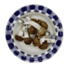 blue pulaski mushrooms
