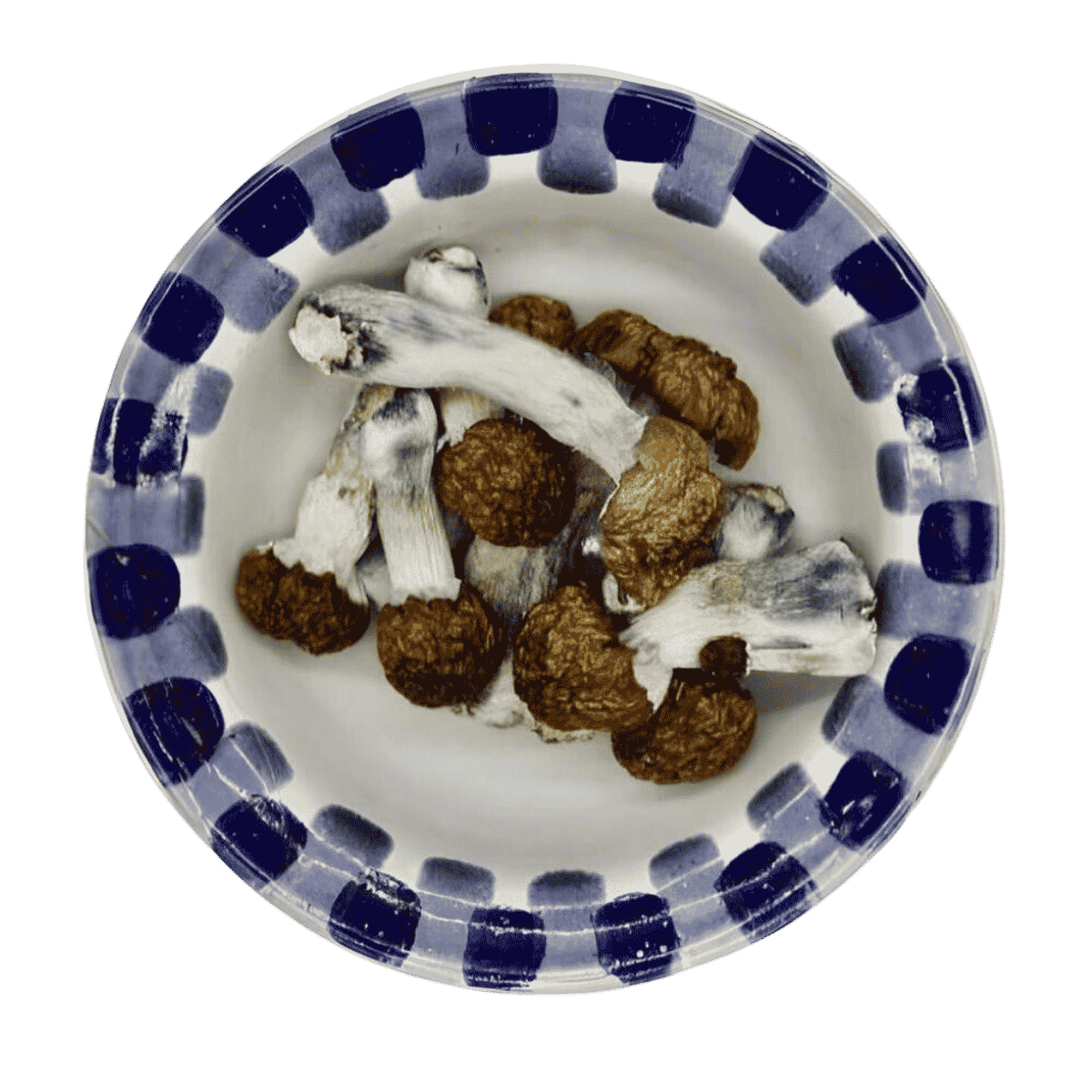 blue pulaski mushrooms